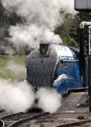 Purchase photo of 4492 DOMINION OF NEW ZEALAND (BITTERN) at Swanage Railway